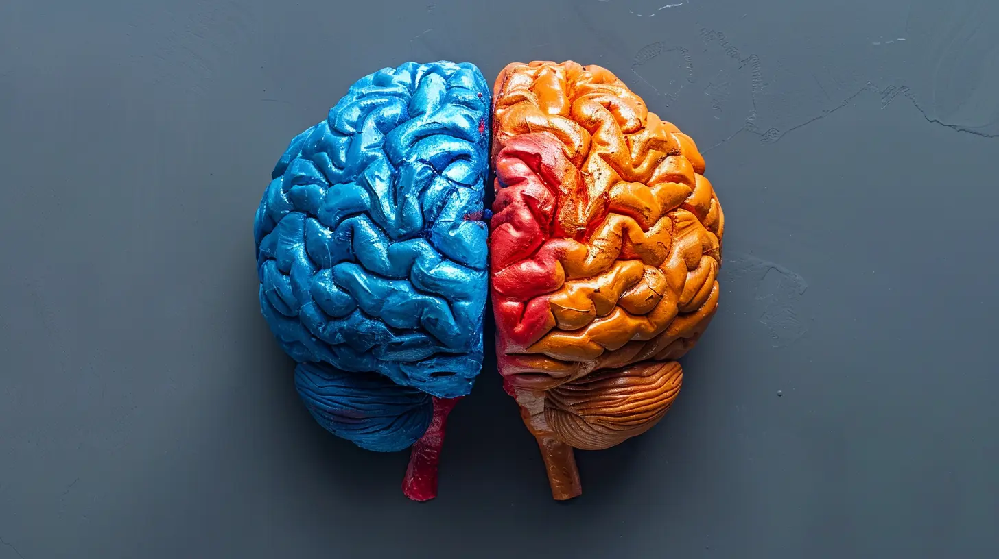 Exploring Brain Lateralization: Left vs. Right Hemisphere Functions