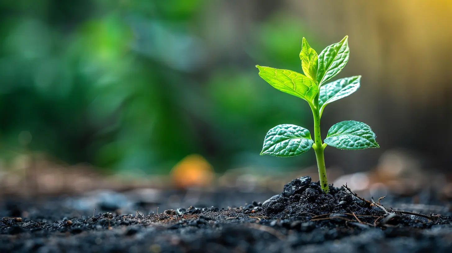 How to Foster a Growth Mindset