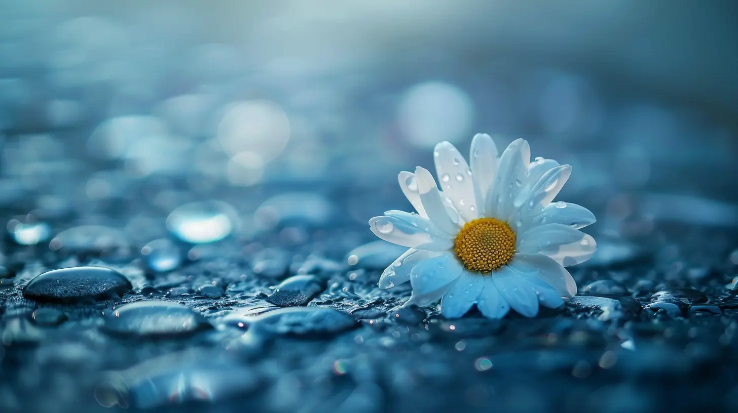 The Power of Forgiveness in the Grieving Process