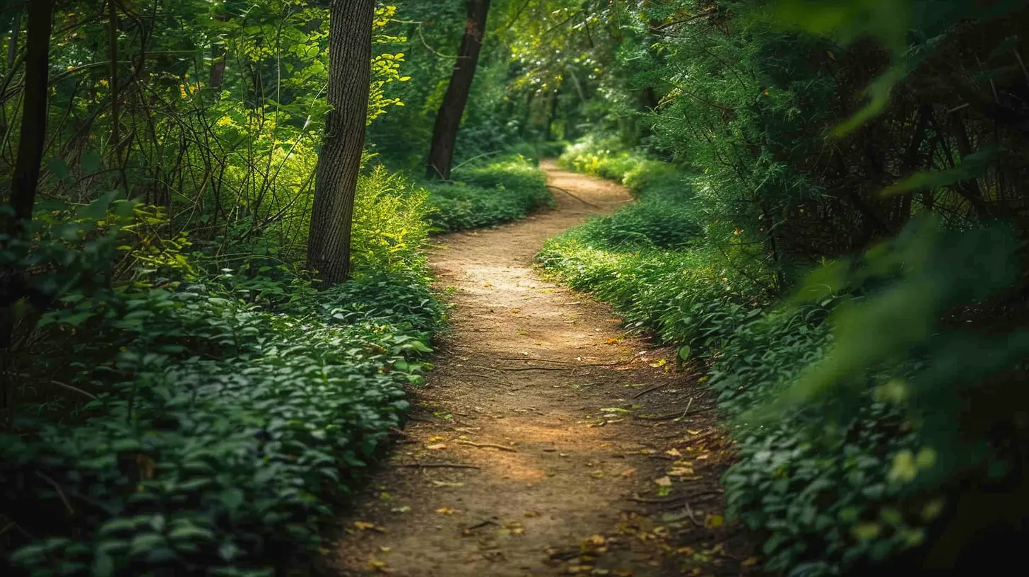 The Power of Self-Compassion: A Path to Inner Peace