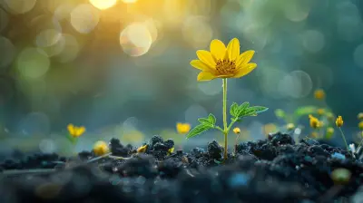 How to Foster a Growth Mindset