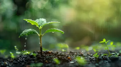 The Healing Power of Vulnerability in Emotional Growth