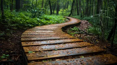 The Journey of Grief: Finding Emotional Healing After Loss