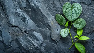 Why Self-Compassion is Essential for Sustainable Success