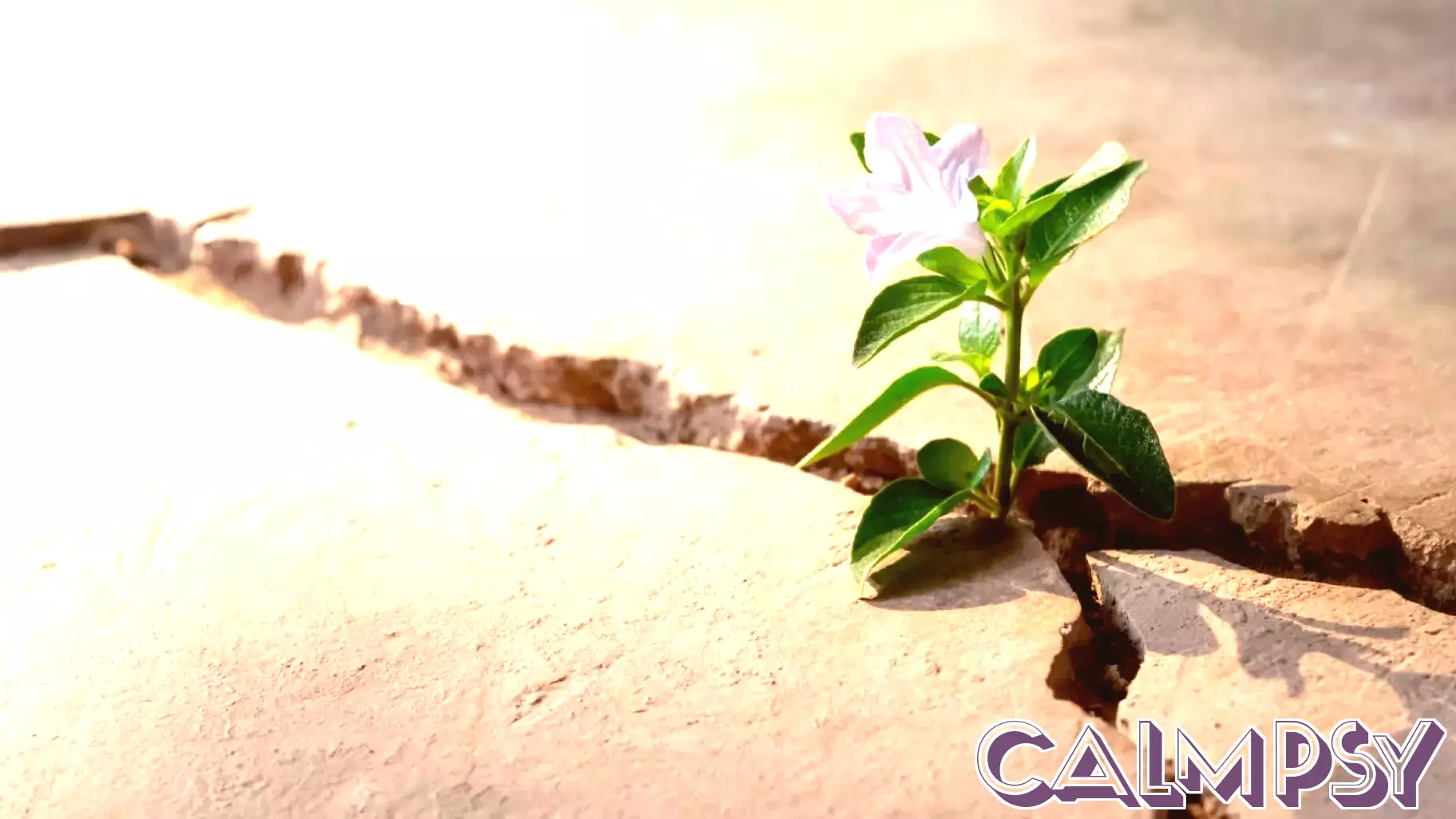 Building Resilience: Essential Strategies for Teachers Today