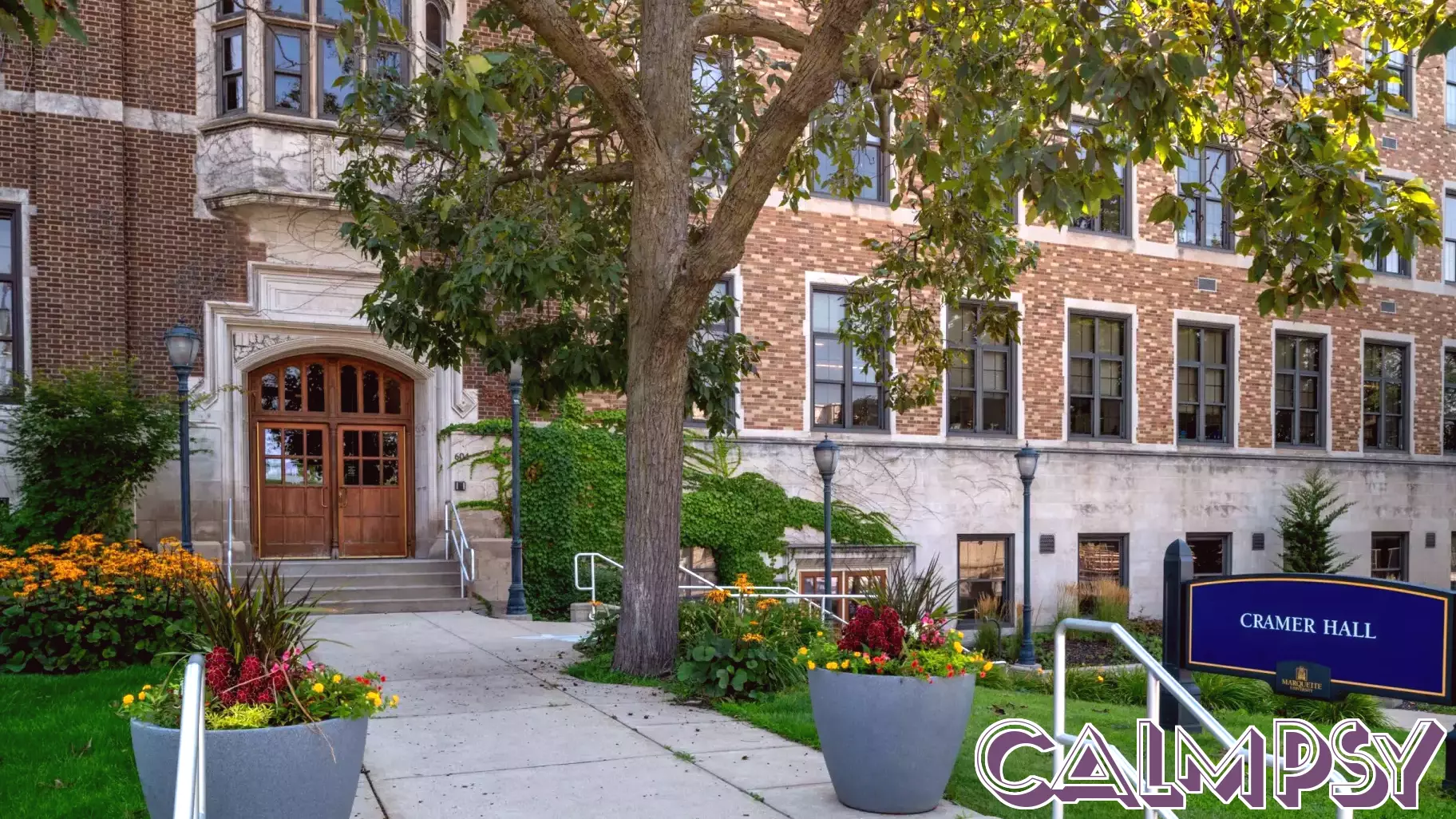 Comprehensive Therapy Services Offered at Local Mental Health Clinic