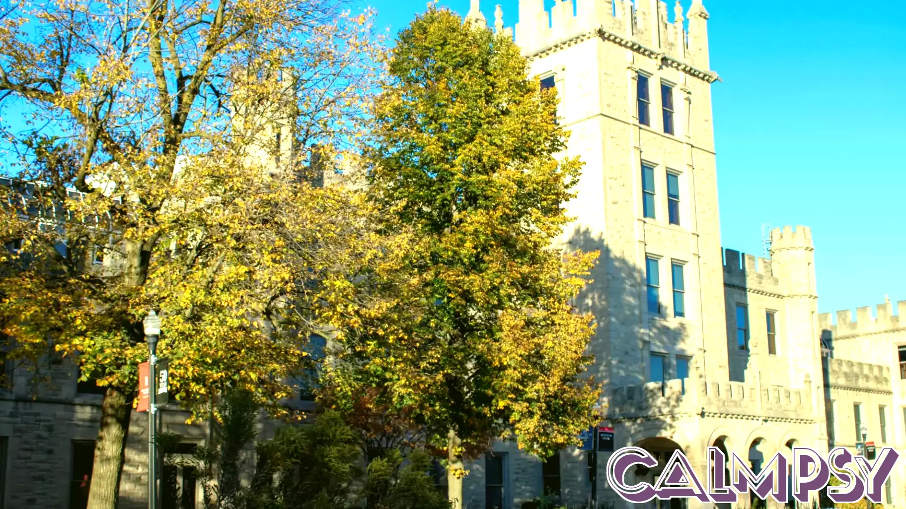 Health sciences, psychology, business administration rank as NIU’s top majors in 2025