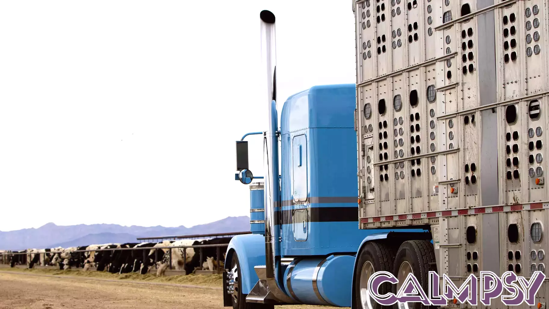 Impact of Increased Argentine Beef Imports on U.S. Cattle Industry