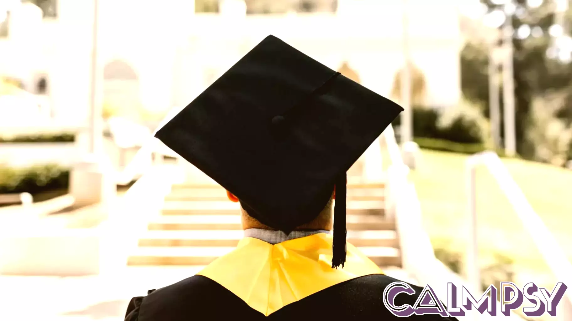 Is a Psychology Degree Worth It? Cost, Career Opportunities, and Long-Term ROI