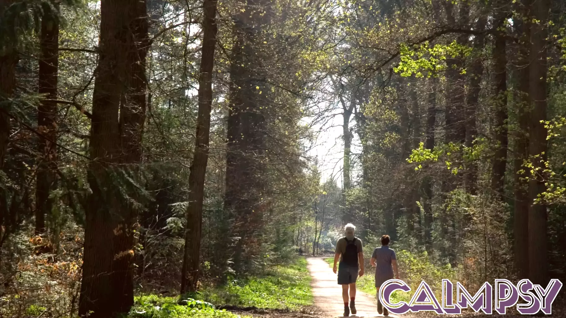 Psychology says people who feel genuinely restored after time in nature aren't indulgent or avoidant —they're often carrying a sensitivity that the built world was never designed to accommodate and the natural world never asks them to hide