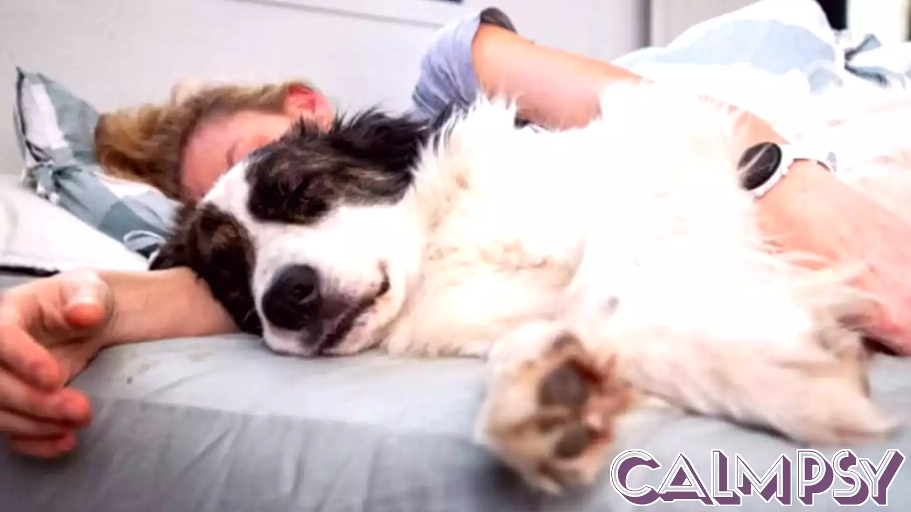 Psychology says people who sleep better with their dog in the bed aren’t imagining it — the evidence on sleep quality is mixed, but the evidence on felt security is consistent, and for most people the second one decides how the night goes