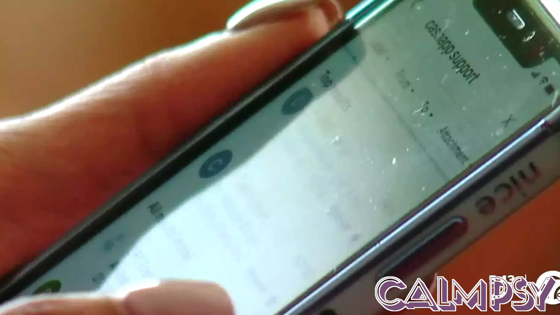 Rising Consumer Losses: Understanding the Psychology of Online Scammers