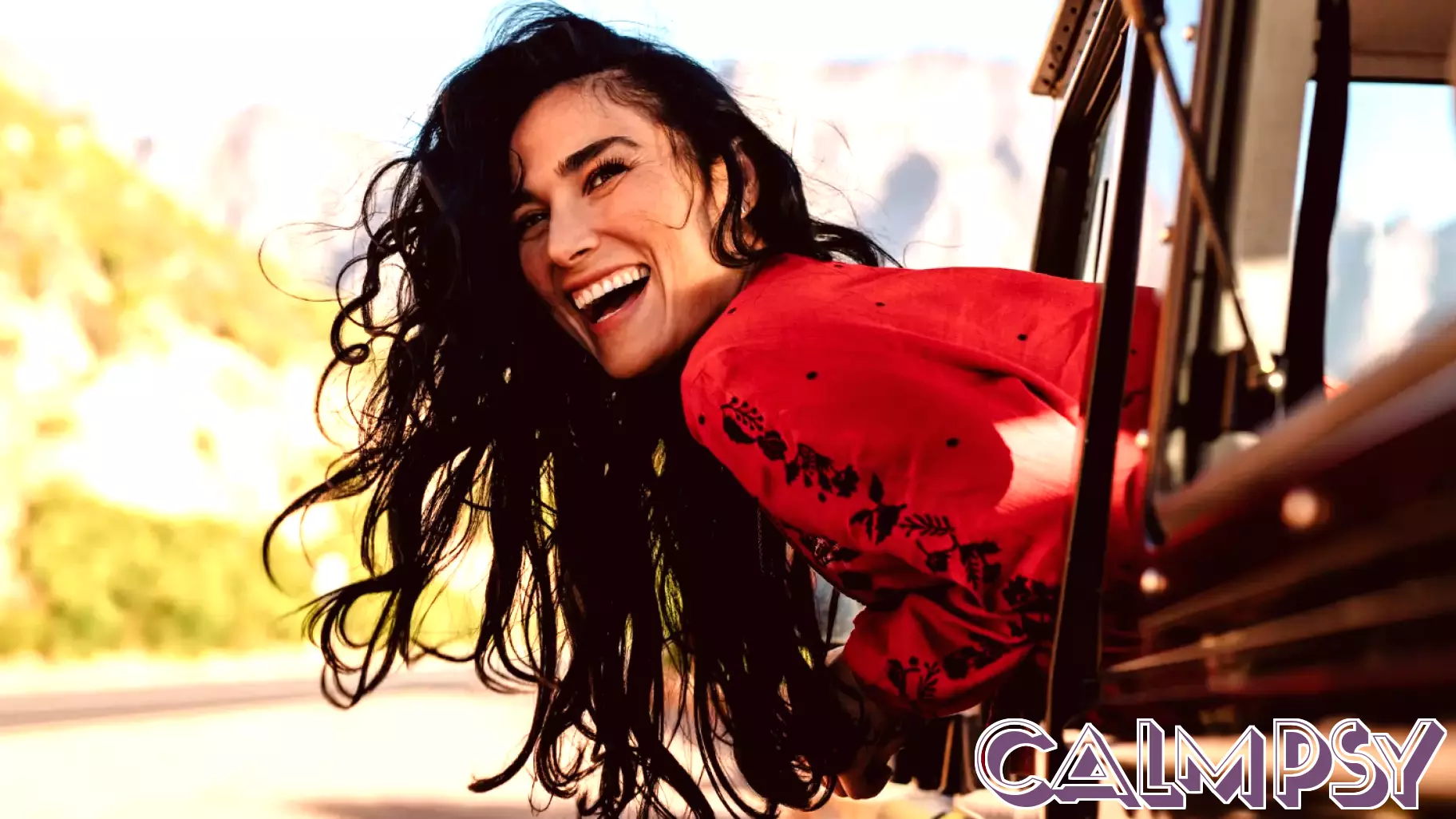 Road Trip Lovers: Insights Into Their Unique Personalities