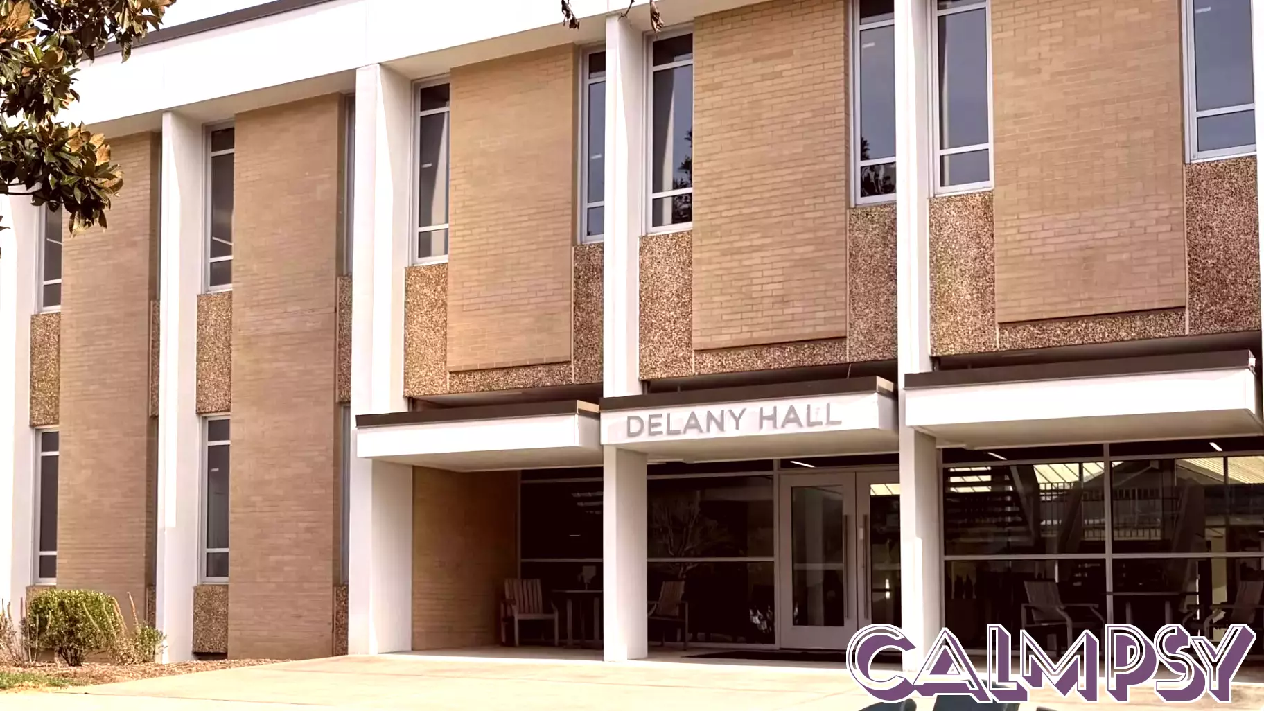 Surge in Psychology Majors at UNC Asheville Attributed to COVID-19 Impact