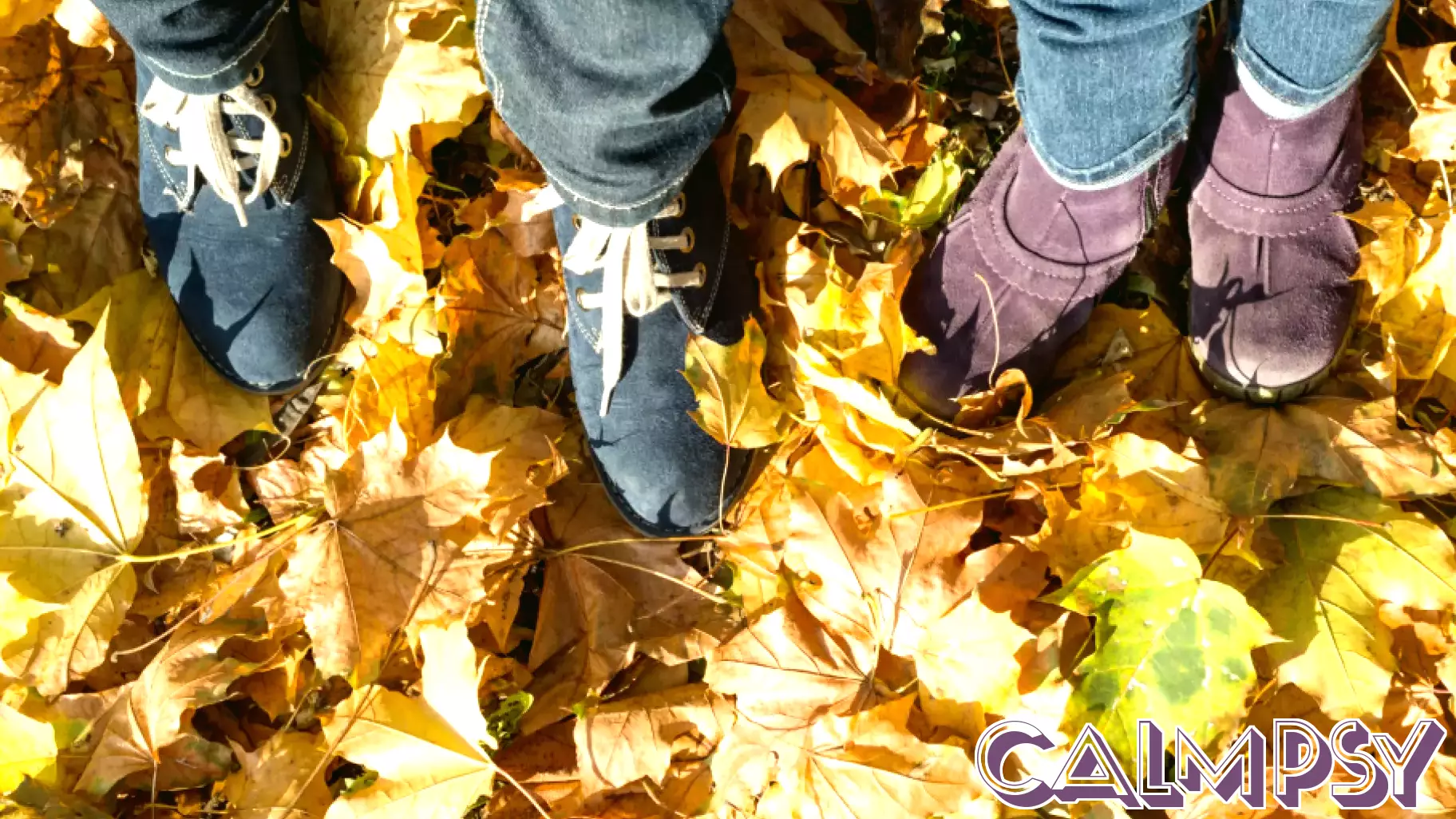The Joy of Crunchy Leaves: Unveiling the Traits of Leaf Steppers