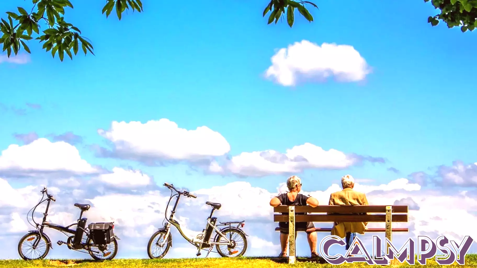 The Secret to Aging Gracefully: Embracing Small Daily Habits