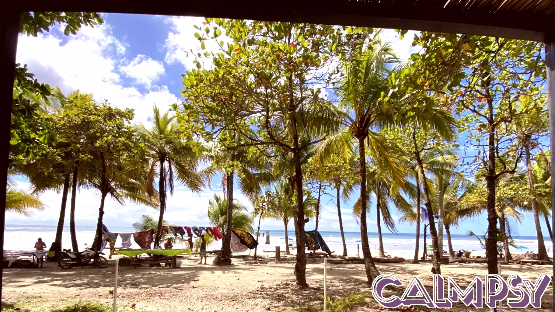 The Unexpected Journey to Happiness: Embracing Vulnerability