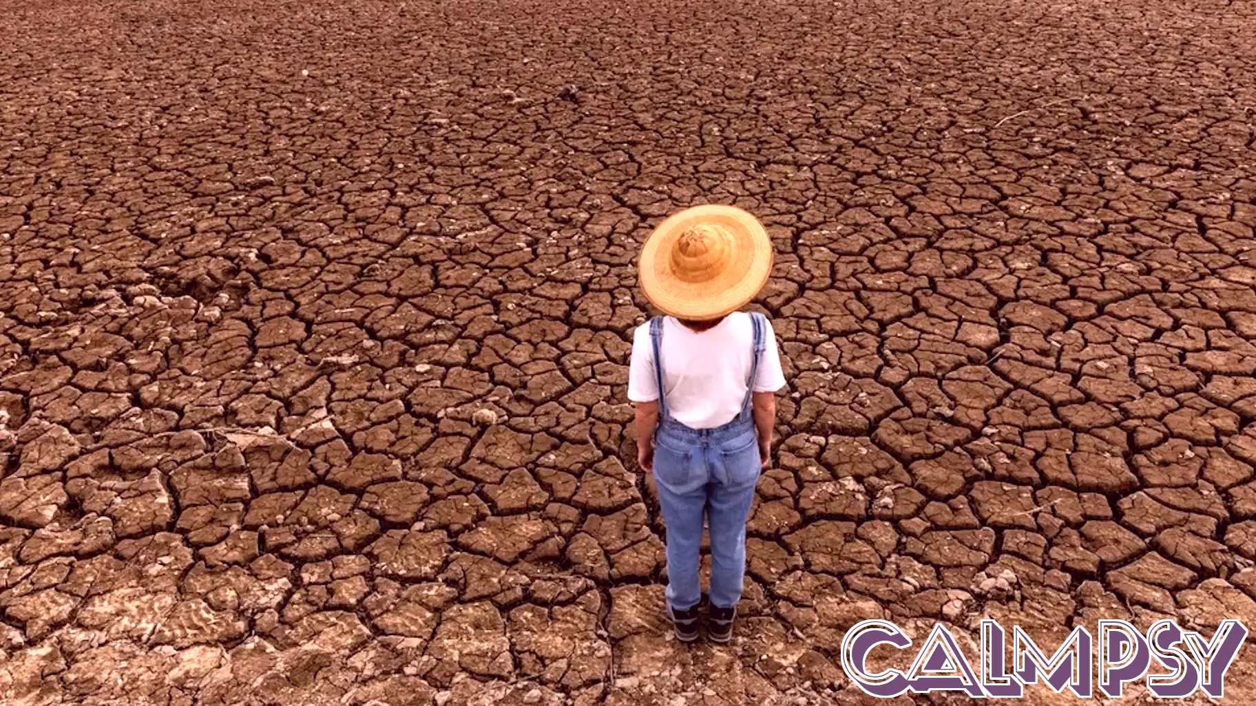 Understanding Climate Traps: Navigating Emotional Distress for Better Choices