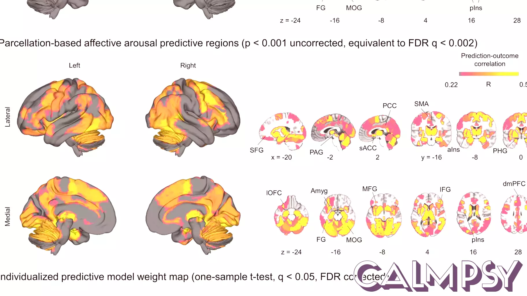 Understanding the Brain's Role in Emotional Experiences