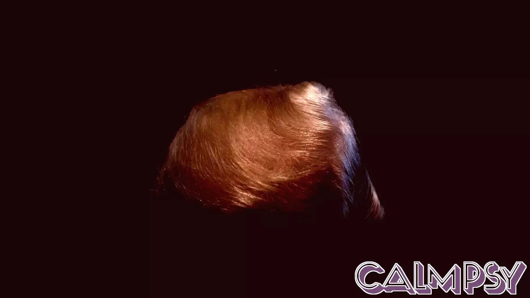 When the psychology of leaders goes macro