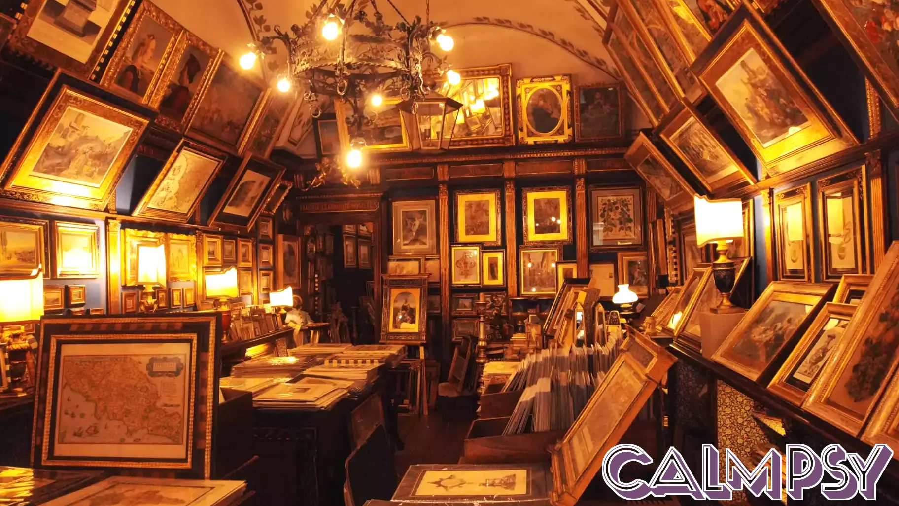 Why We Collect: The Hidden Psychology Behind Our Obsession With Objects