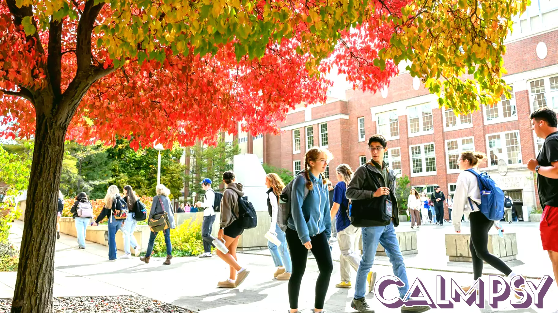 WSU psychology course boosts student well‑being