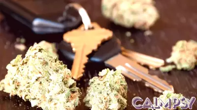 Addressing Marijuana-Impaired Driving: A New Initiative from URI Psychology Professor