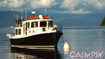 AI, Consumer Psychology and the End of the 7-Year Boat Design