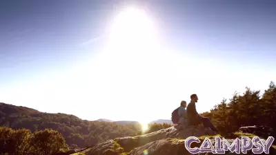 Distinct resilience profiles predict psychological outcomes during adversity, study reveals