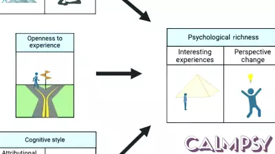 Exploring a New Dimension of the Good Life: The Role of Psychological Richness