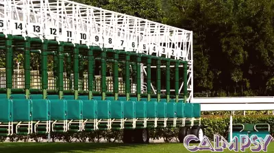 Paddock Psychology: Risen Star Stakes Red Flags on Kentucky Derby Betting