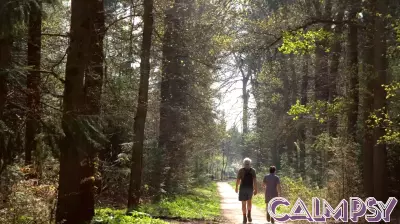 Psychology says people who feel genuinely restored after time in nature aren't indulgent or avoidant —they're often carrying a sensitivity that the built world was never designed to accommodate and the natural world never asks them to hide