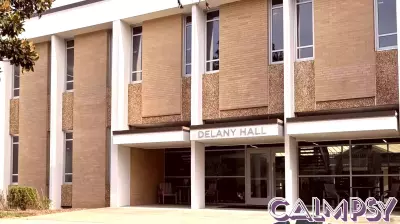 Surge in Psychology Majors at UNC Asheville Attributed to COVID-19 Impact