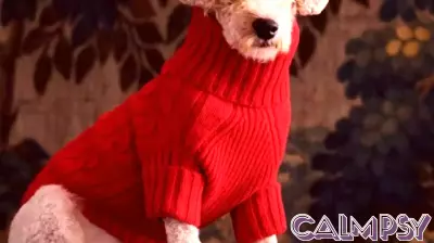 The Enduring Appeal of Ralph Lauren's Christmas Aesthetic in 2025