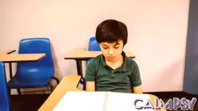 The Impact of School Expulsions on Student Behavior