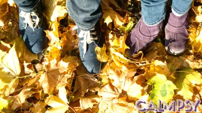 The Joy of Crunchy Leaves: Unveiling the Traits of Leaf Steppers