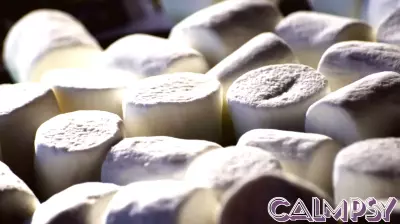 The marshmallow test, redone with ten times as many children, found that a four-year-old's willpower mostly stopped predicting teenage success once family background was taken into account