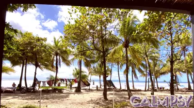 The Unexpected Journey to Happiness: Embracing Vulnerability