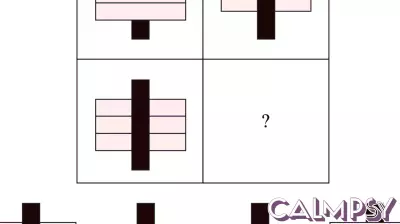 Understanding Aphasia: Distinguishing Between Language and Thought