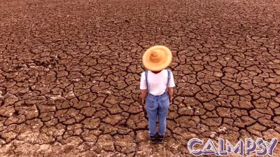 Understanding Climate Traps: Navigating Emotional Distress for Better Choices
