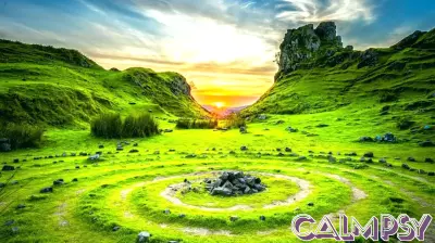 Understanding OCD: The Role of Genetics and Environment