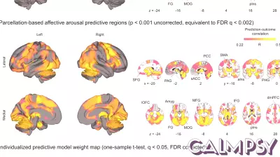 Understanding the Brain's Role in Emotional Experiences
