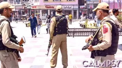 Understanding the Psychological Factors Behind Military Action Calls